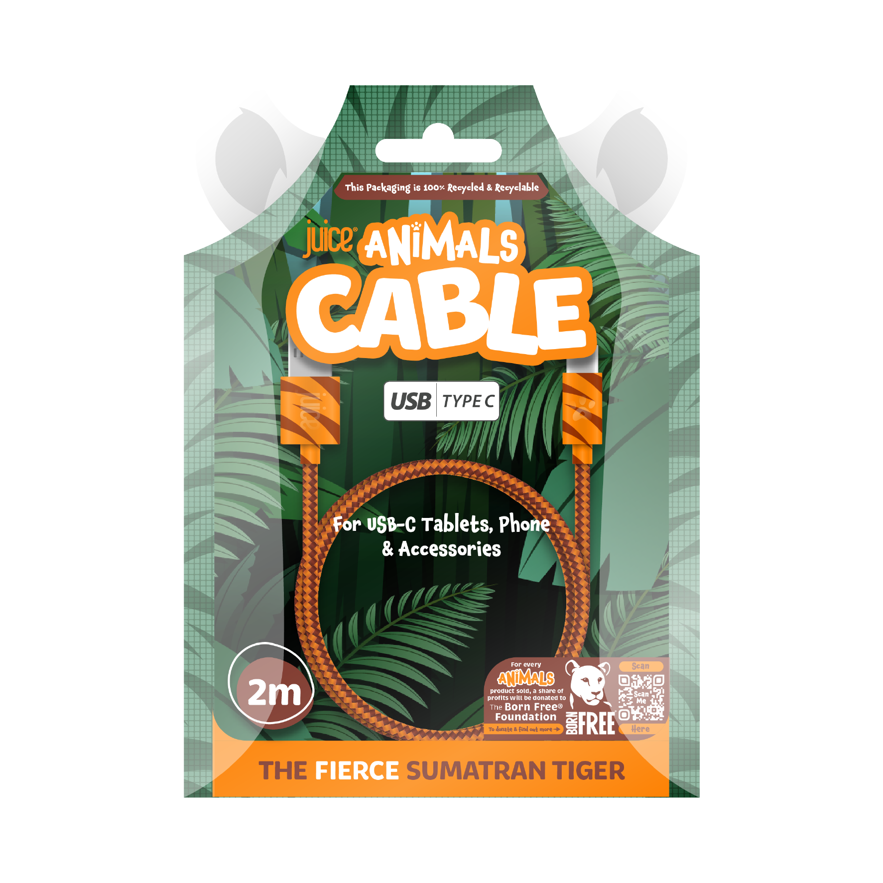 #Colour_Sumatran Tiger