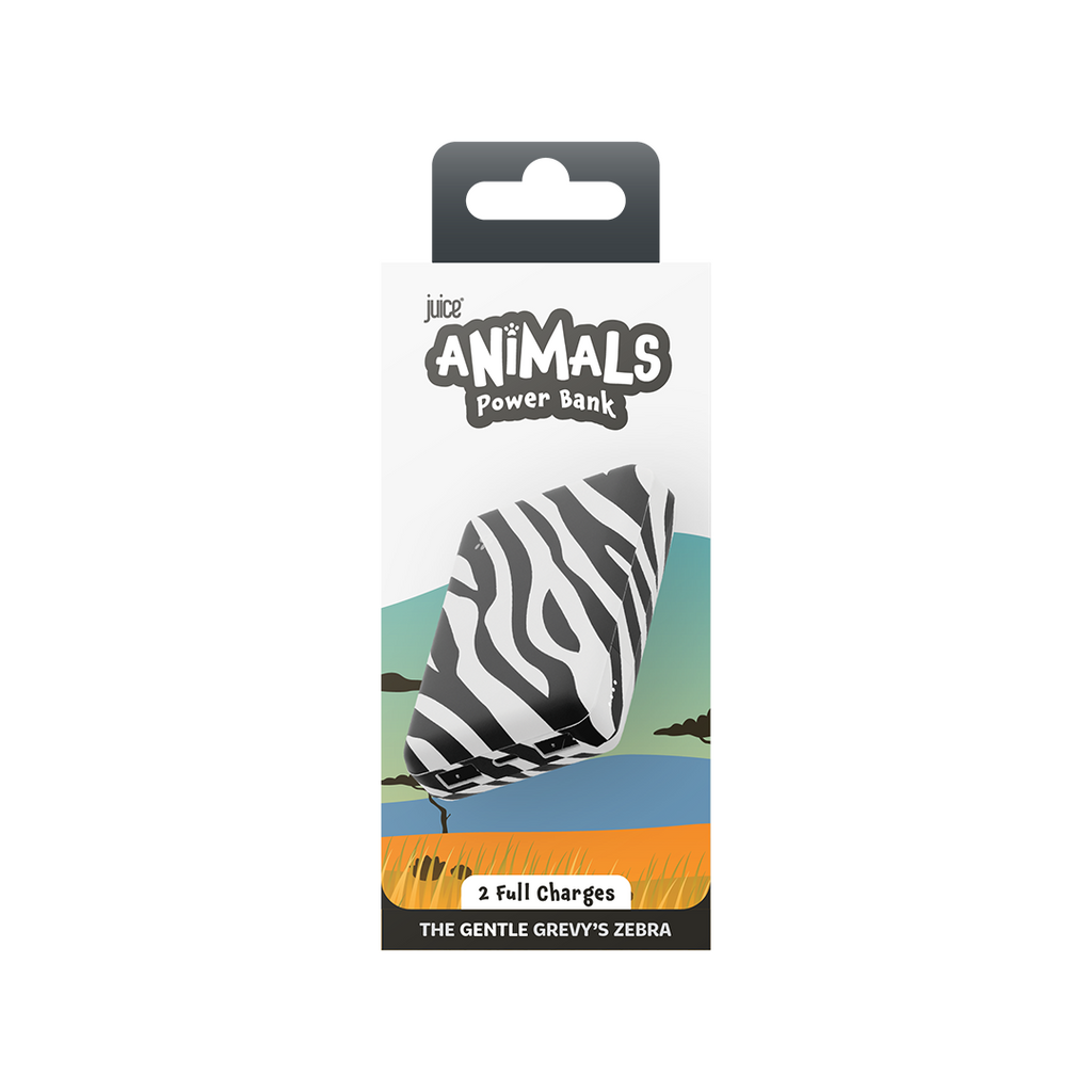 #Colour_Grevy's Zebra