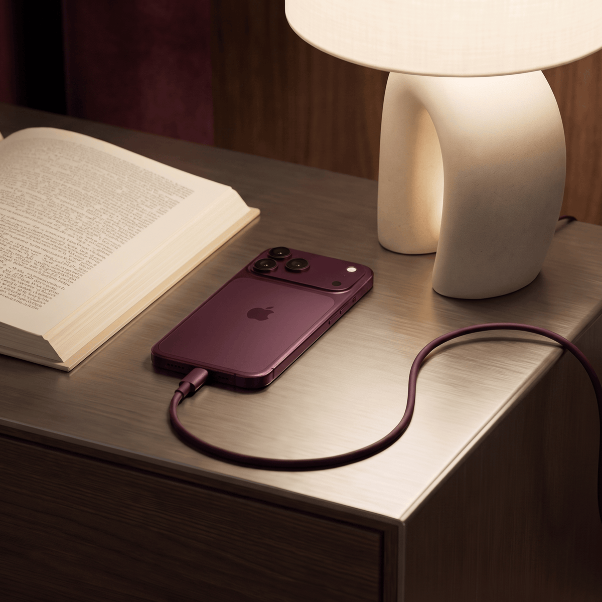 Juice USB-C to USB-C Classic Charging Cable 1m – Burgundy – Lifestyle