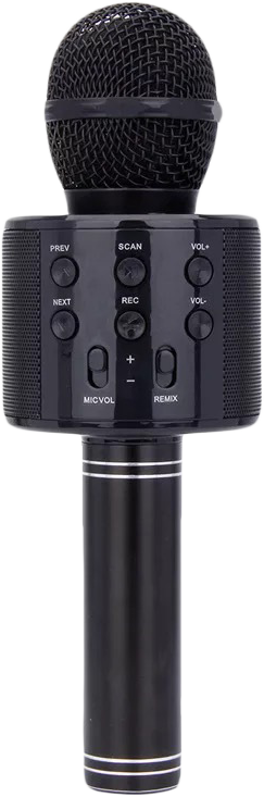 Juice Disco Karaoke Microphone - Black