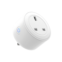 Energy Saving 16A Smart Plug