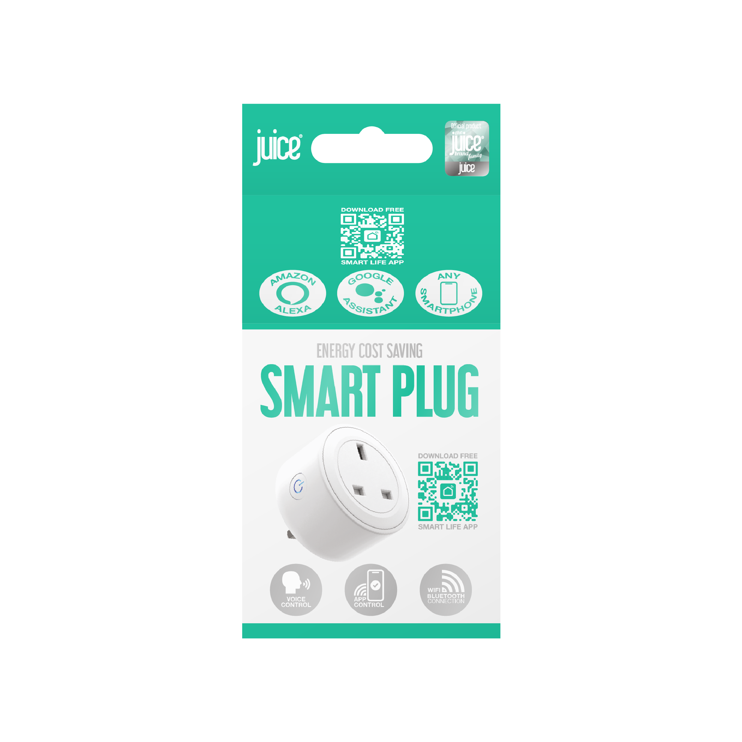 Energy Saving 16A Smart Plug